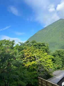 a view of a mountain with trees and a road at 山の湯 in Wada