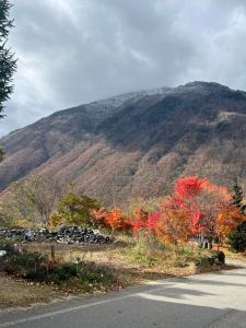 a view of a mountain with trees and a road at 山の湯 in Wada