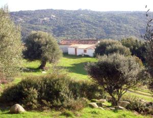 a house in the middle of a field with trees at Ferienhaus Stazzo Mit Garten In Luogosanto in Luogosanto