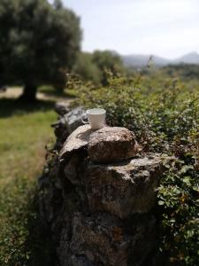 Φυσικό τοπίο κοντά σε αυτή η παραθεριστική κατοικία +31 φωτογραφίες