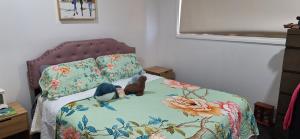 a bedroom with a bed with a stuffed animal on it at Aeris Holiday Home Flinders NSW Pet Friendly in Croom