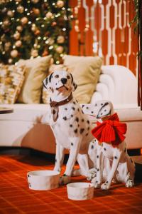 Κατοικίδιο ή κατοικίδια επισκεπτών που μένουν στο Four Seasons Hotel Guangzhou +88 φωτογραφίες