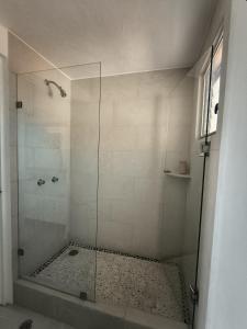 ein Badezimmer mit Dusche mit Glastür in der Unterkunft Frente al Mar totalmente remodelado para 6 personas in Ixtapa