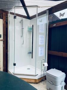 a shower stall with a toilet in a room at Evermore Stay in Richmond