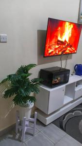 a living room with a tv and a potted plant at Modern studio apartment juja in Nairobi