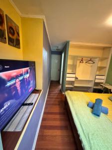 Μια τηλεόραση ή/και κέντρο ψυχαγωγίας στο Hortensias del Lago