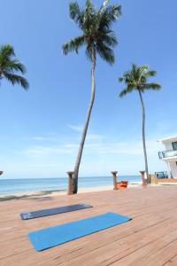 Příroda nedaleko penzionu