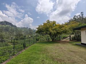 a fence in a yard with a view of a mountain at Watawala Tea Garden in Rozella