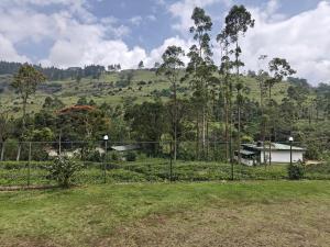 a fence in front of a field with a house at Watawala Tea Garden in Rozella