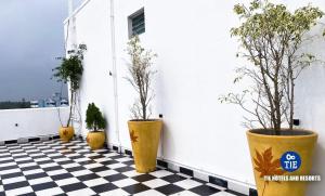 three potted plants on a balcony with a checkered floor at De Luxury Villa in Pūrnānkuppam