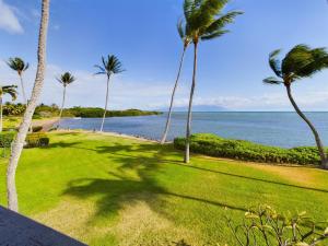 a group of palm trees on a lawn next to the ocean at Oceanfront true 2 bedroom wlanai on Molokai in Ualapue
