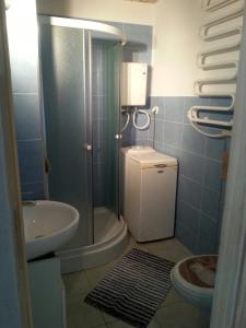 a bathroom with a shower and a toilet and a sink at Dom Jura Krakowsko- Częstochowska in Siedlec