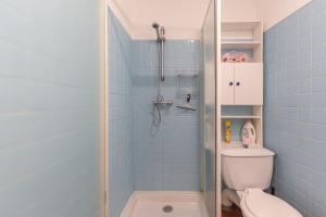 ein blau gefliestes Bad mit einem WC und einer Dusche in der Unterkunft L'amourié 1er étage pour 5pers in Sainte-Croix-de-Verdon + 12 Fotos