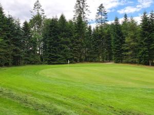 een golfbaan met een groen veld en bomen bij 8 person holiday home in Silkeborg in Silkeborg