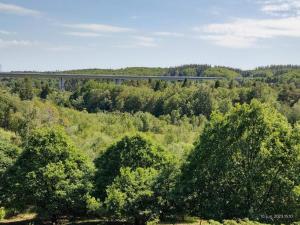 een brug in het midden van een bos met bomen bij 8 person holiday home in Silkeborg in Silkeborg