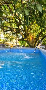 a blue swimming pool with a tree in the background at Gasing WheelHouse in Petaling Jaya