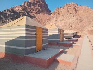 Φωτογραφία από το άλμπουμ του Ayed Wadi Rum camp σε Ουάντι Ραμ