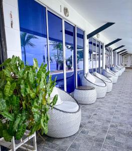 a row of white chairs and plants in a building at the beachhouse cebu in Dalaguete