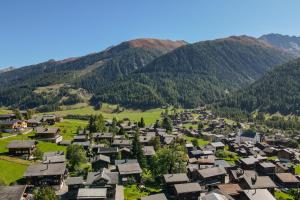 an aerial view of a village in the mountains at Gommer Sunna - Joderestutz in Reckingen - Gluringen +18 photos