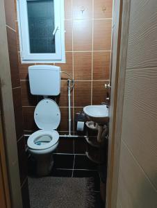 Un baño pequeño con inodoro y lavabo. en Oaza Mira Mozgovo, en Mozgovo