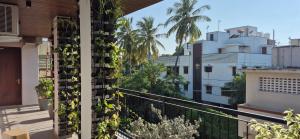 钦奈VLuv Home Stay的建筑一侧种植植物的阳台