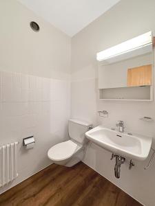 ein weißes Badezimmer mit Toilette und Waschbecken in der Unterkunft Slopeside Studio - 4 Valleys - Swiss Alps in Vex
