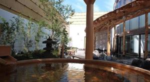 a large pool of water in front of a building at Hadano Yugawara Onsen Manyo no Yu in Nagoki