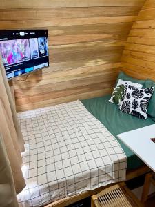 a small room with a bed and a tv at Recanto Monte Trigo in São Francisco do Sul