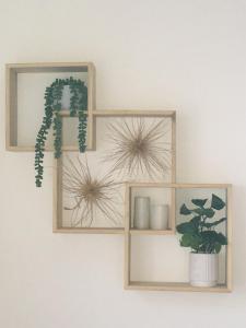 Φωτογραφία από το άλμπουμ του Rangiputa Retreat σε Karikari Peninsula +14 φωτογραφίες