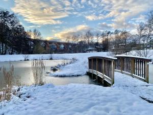 Příroda nedaleko penzionu + 18 fotografií