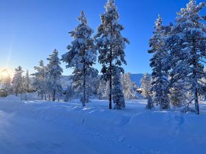 Boende i Lindvallen, Sälen om vinteren