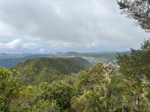 Příroda nedaleko vily