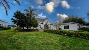 a white house with a palm tree in the yard at Villa Rosa in Ladismith