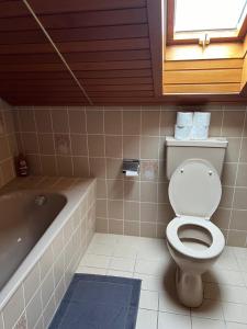 a bathroom with a toilet and a bath tub at Gemütliche 2,5 Zimmer Wohnung in Grenzach-Wyhlen