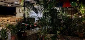 Zahrada ubytování The Bohemian DeLuxe Homestay + 6 fotografií