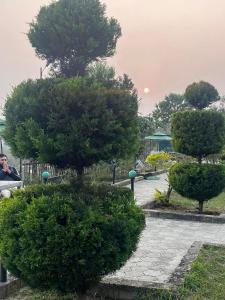 a man sitting on a bench in a park with trees at Hotel RaptiRiverview in Khargauli