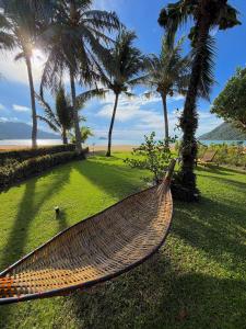 Příroda nedaleko vily