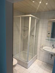 a shower in a bathroom with a toilet and a sink at Haus Molnar in Bad Säckingen