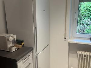 a kitchen with a refrigerator and a window at Haus Molnar in Bad Säckingen +4 photos