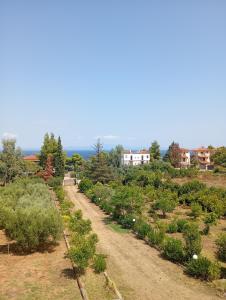 Příroda nedaleko vily