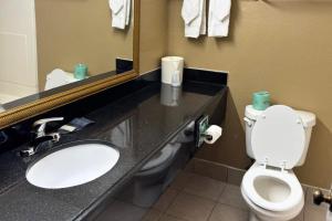 a bathroom with a toilet and a sink and a mirror at Broadway INN & SUITES OKC in Oklahoma City