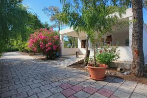 Zahrada ubytování Villaggio Sabbia d'oro