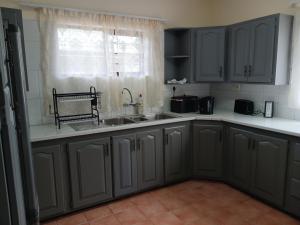 cocina con armarios grises, fregadero y ventana en 41 on Clarendon, en Graskop