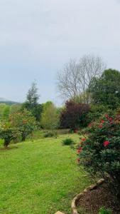 a garden with red roses in a green field at A2B Eco Farm, Byrne Valley, KZN in Byrne +8 photos