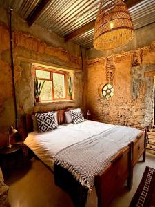 Ένα ή περισσότερα κρεβάτια σε δωμάτιο στο One Eye Dog +23 φωτογραφίες