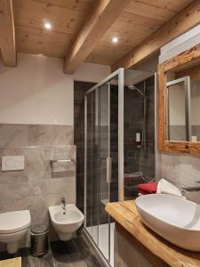 a bathroom with a sink and a toilet and a shower at Al Sole B&B Valcomelico in Santo Stefano di Cadore