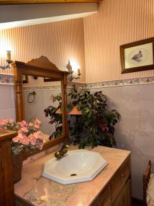 a bathroom with a sink and a mirror at Casa ARRUIZ in Riaza