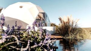 Φυσικό τοπίο κοντά σε οργανωμένο κάμπινγκ +12 φωτογραφίες