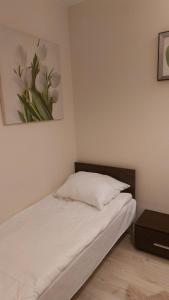 a bedroom with a bed with a painting on the wall at Motylowa Przystań in Łódź