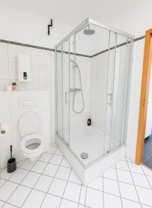 ein Badezimmer mit Dusche und Toilette in der Unterkunft Exklusive moderne Unterkunft in Koblenz